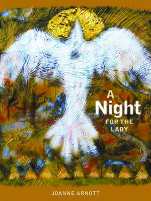 cover image of A Night for the Lady